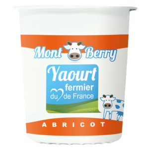 Yaourt montberry abricot