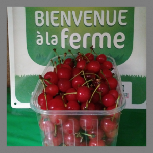 Cerises montmorency