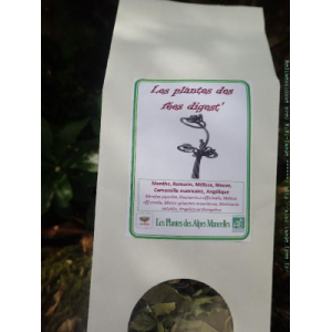 Les plantes des fées digest'