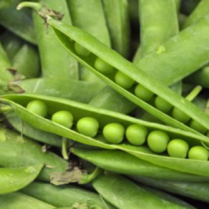 Petit pois