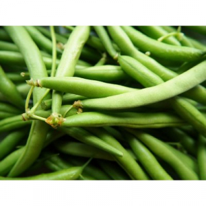 Haricot vert