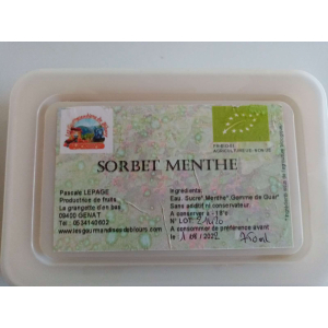 Sorbet menthe bio