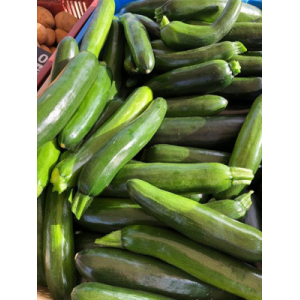 Courgette verte