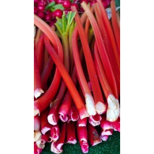 Rhubarbe bio
