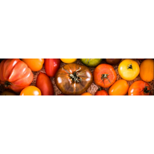 Tomates anciennes
