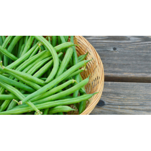Haricot vert