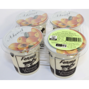 Yaourt bio aux fruits abricot
