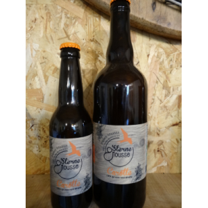 Sterne carotte (ipa)