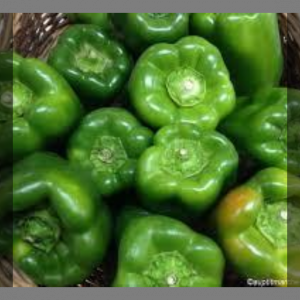 Poivrons vert