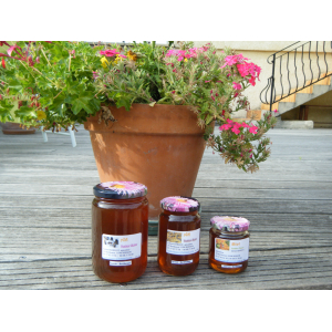 Miel d'été origine la tenotte