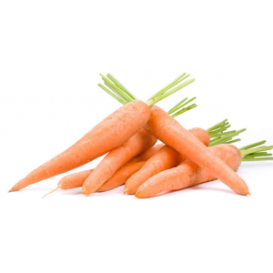 Carottes bio