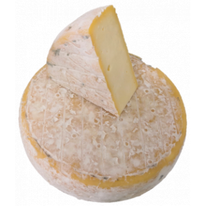 Tomme jeune
