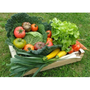 Petit panier de légumes