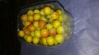 Mirabelles  bio 1 kg