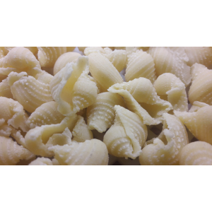 Conchigli rigate - pâte fraîche