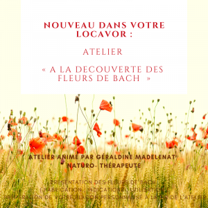 Atelier fleurs de bach germiny