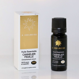 Cannelier feuille bio