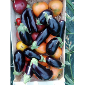 Colis ratatouille 100% bio