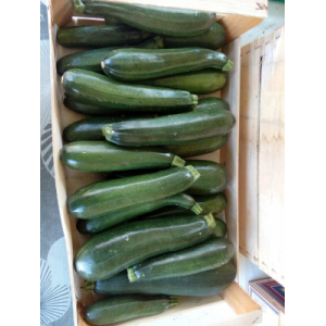 Courgette 100% bio