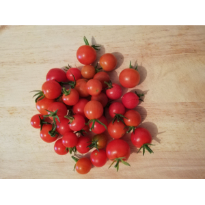 Tomates cerises