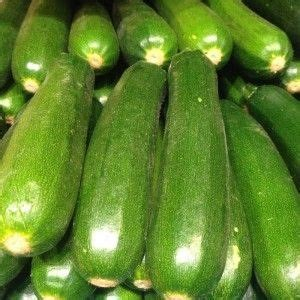 Courgette verte