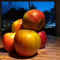 Pommes à compote