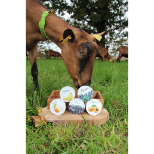 4 yaourts au cassis - lait de chèvre