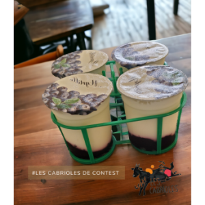4 yaourts à la myrtille lait de chèvre