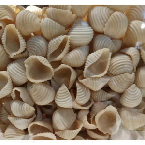 Conchiglie sec bio
