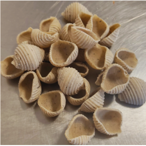 Conchiglie sèches au basilic