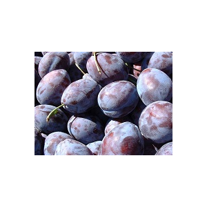 Prunes d'ente en 1kg