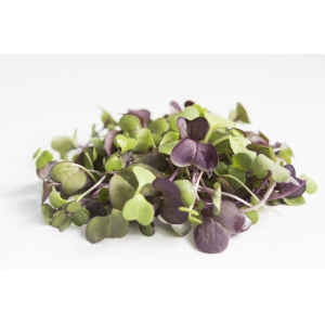 Meli melo/micro pousse aromatique