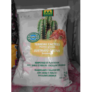 Terreau cactus