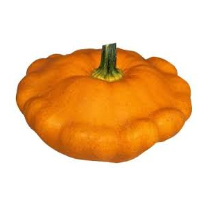 Patisson orangé bio