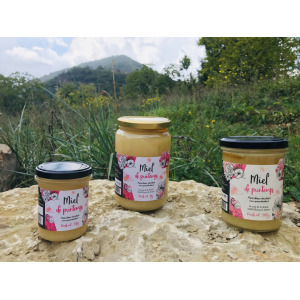 Miel de printemps