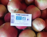 Pomme idared bio 5kg