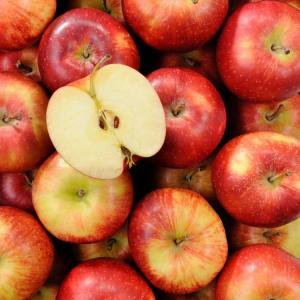 Pomme jonagored bio 5kg