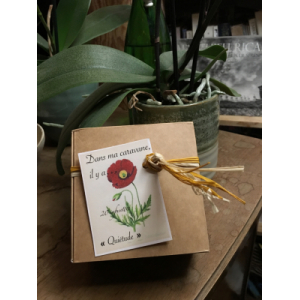 Quiétude boite 20 infusettes