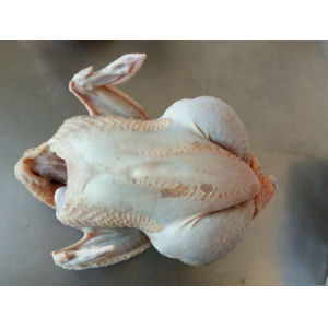 Poulet élevé en plein air 2-2,2 kg