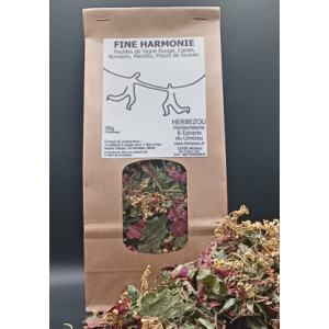 Infusion bien-être : fine harmonie