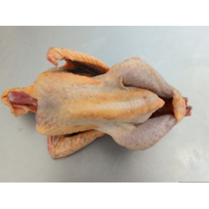 Pintade plein air 1,5-1,7 kg