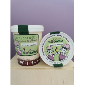 Yaourt glacé coulis fraise