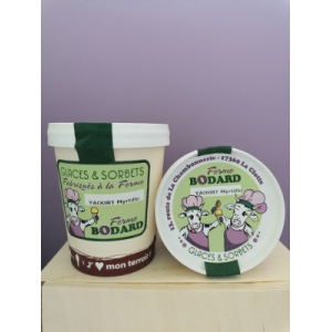 Yaourt glacé coulis myrtille