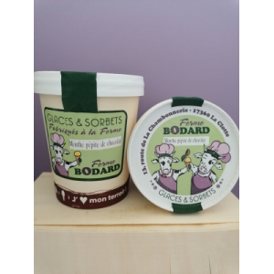 Crème glacée menthe/chocolat