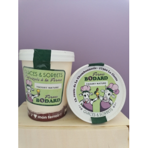 Yaourt glacé nature