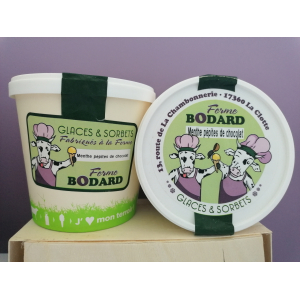 Crème glacée menthe/chocolat