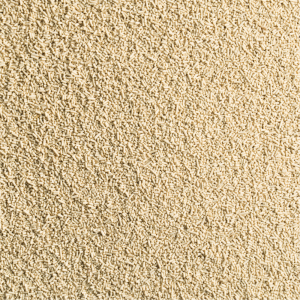 Levure boulangère (inclus consigne)