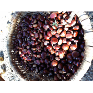 Châtaignes fraîches