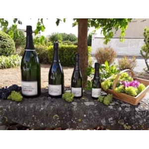 1/2 bouteille champagne brut