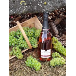 Bouteille champagne rosé